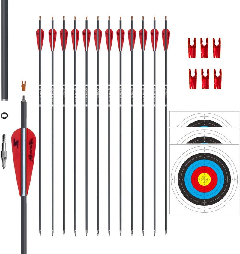 e5e10 31inch Carbon Arrow Archery Targeting Practice Hunting Arrows for Compound & Recurve Bow with Removable Tips(Pack of 12) - Image 1
